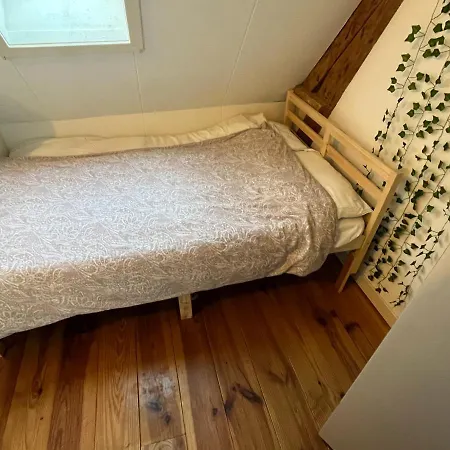 Surf/beach Mansion With 2 Cats * The Hague