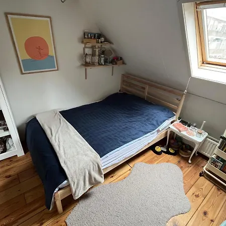 Surf/beach Mansion With 2 Cats The Hague