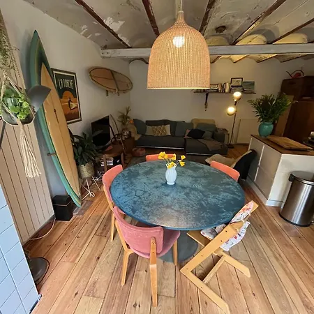 Surf/beach Mansion With 2 Cats Apartment *